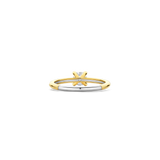 Classic Zirconia Ring 5mm