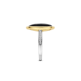 Statement Ring with Luxury stone