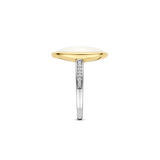 Statement Ring with Luxury stone