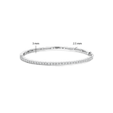 Classic Zirkonia Bangle Silver