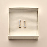 Long Zirconia Earrings