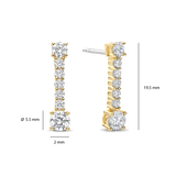 Long Zirconia Earrings