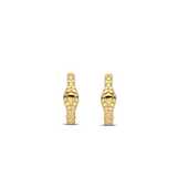 Snake Hoops