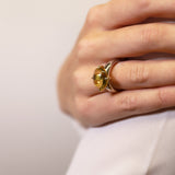 [product_link_hover]