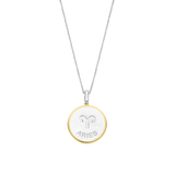 Zodiac Necklace with pendant - Aries