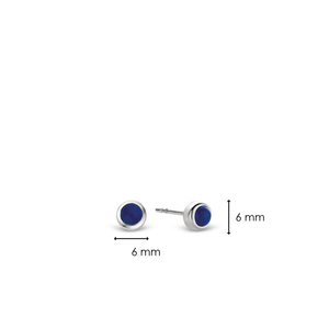 TI SENTO Earrings 7597BL