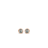 TI SENTO Earrings 7748GB