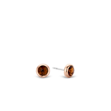 TI SENTO Earrings 7748TB