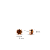 TI SENTO Earrings 7748TB