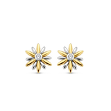 TI SENTO Earrings 7860ZY