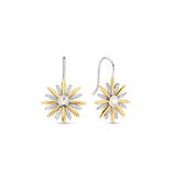 TI SENTO Earrings 7861ZY