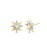 TI SENTO Earrings 7932MW