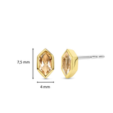 Champagne Gem Earrings