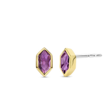 TI SENTO Earrings 7944PU